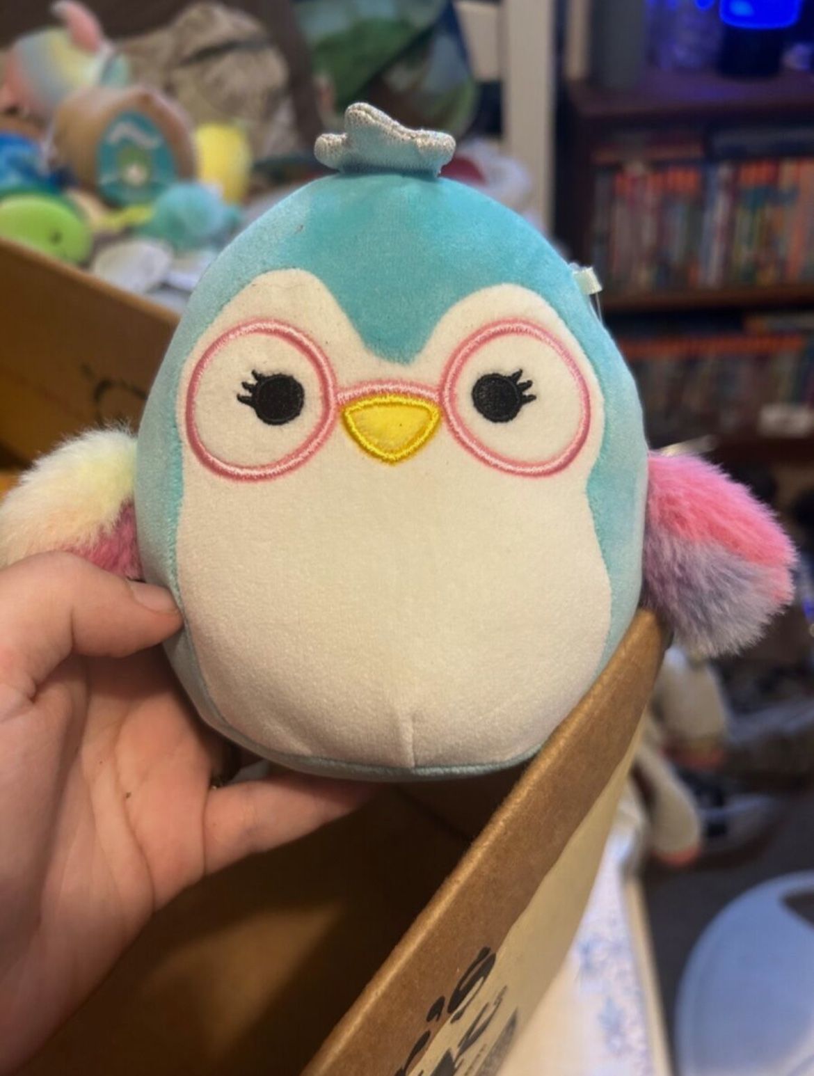 raina the teal penguin squishmallow