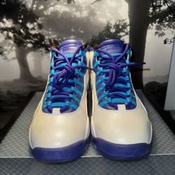 Air Jordan 10s Charlotte Edition Size 9.5