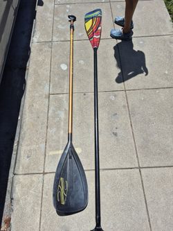 Paddles stand up