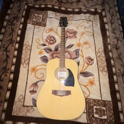 12 String Acoustic Guitar 