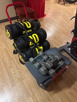 ZIVA Sandbags and Hex Dumbbells Set