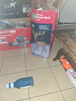 Glittering  Brown buck 5 ft.