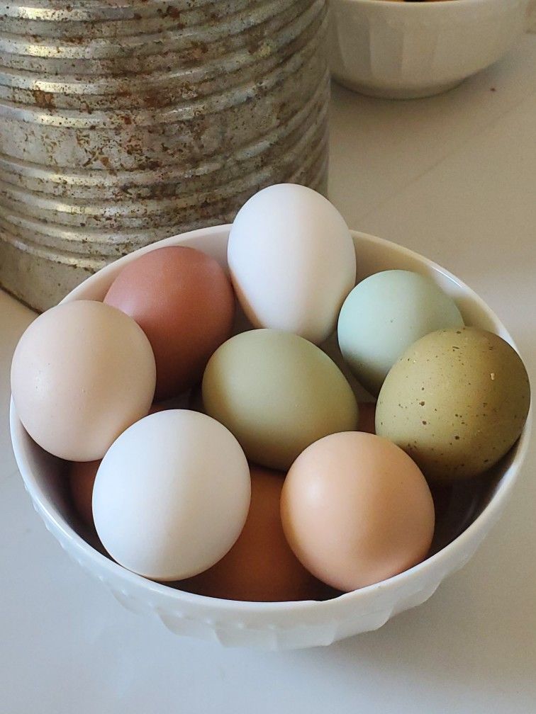 Farm Fresh Eggs