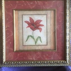 Framed Flower 