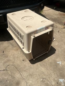 Dog Kennel Med
