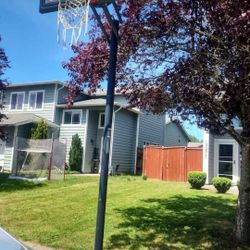 Lifetime Shatterproof Basketball Hoop