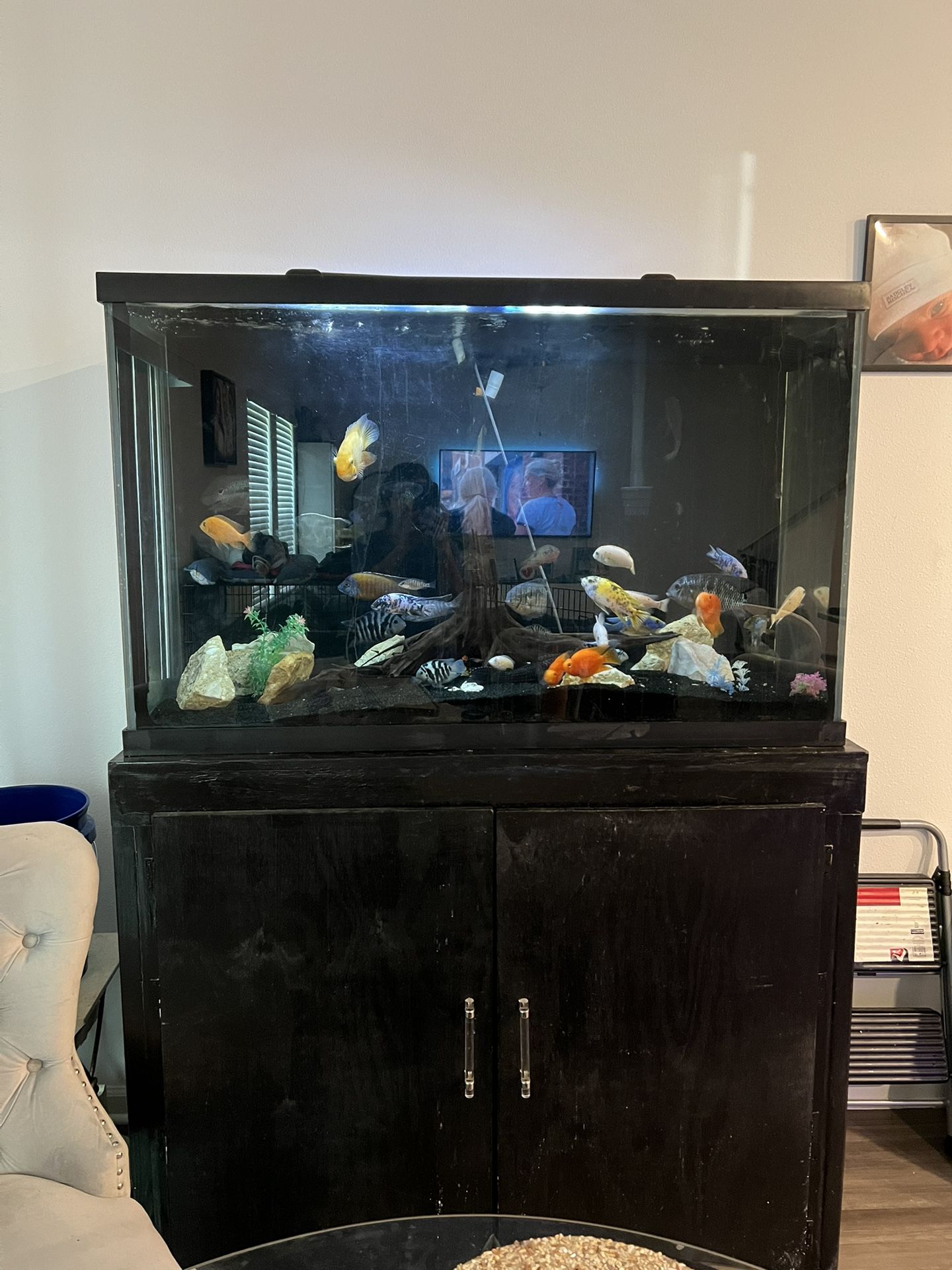 110 Gallon Fish Tank