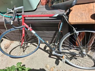 Raleigh bike