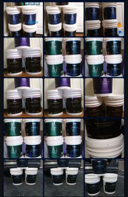 Behr Marquee & Dynasty