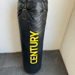 Century Punching Bag With Wall Mount $120 