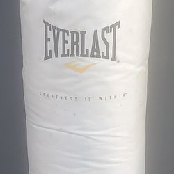 Everlast Heavy Punching Bag – Great Condition