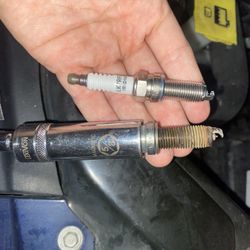 Spark Plugs + Coils 