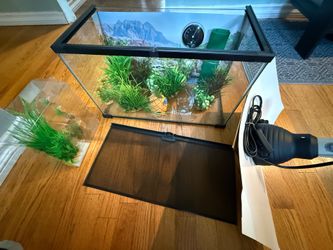 Terrarium