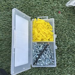 Slotted/Phillips Screw Type