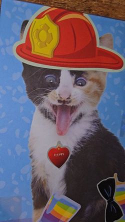 Fun Pet Picture Frame Wooden
