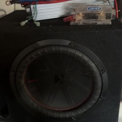 12 Sub With Amp 