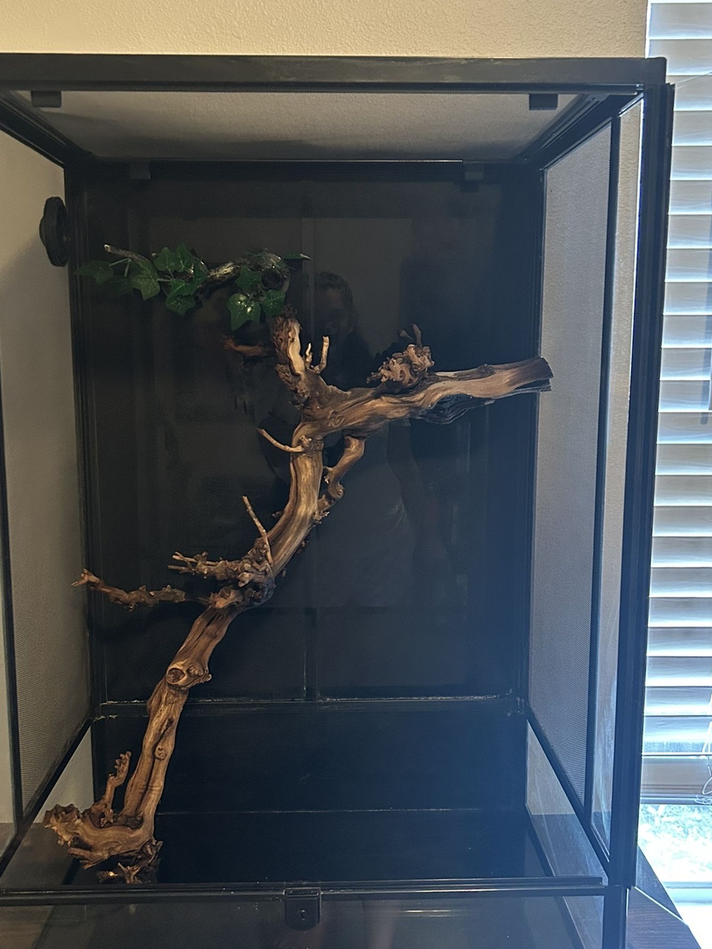 Terrarium For Sale