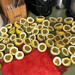 Passion Fruit Have Pulp And Plant Kissimmee 