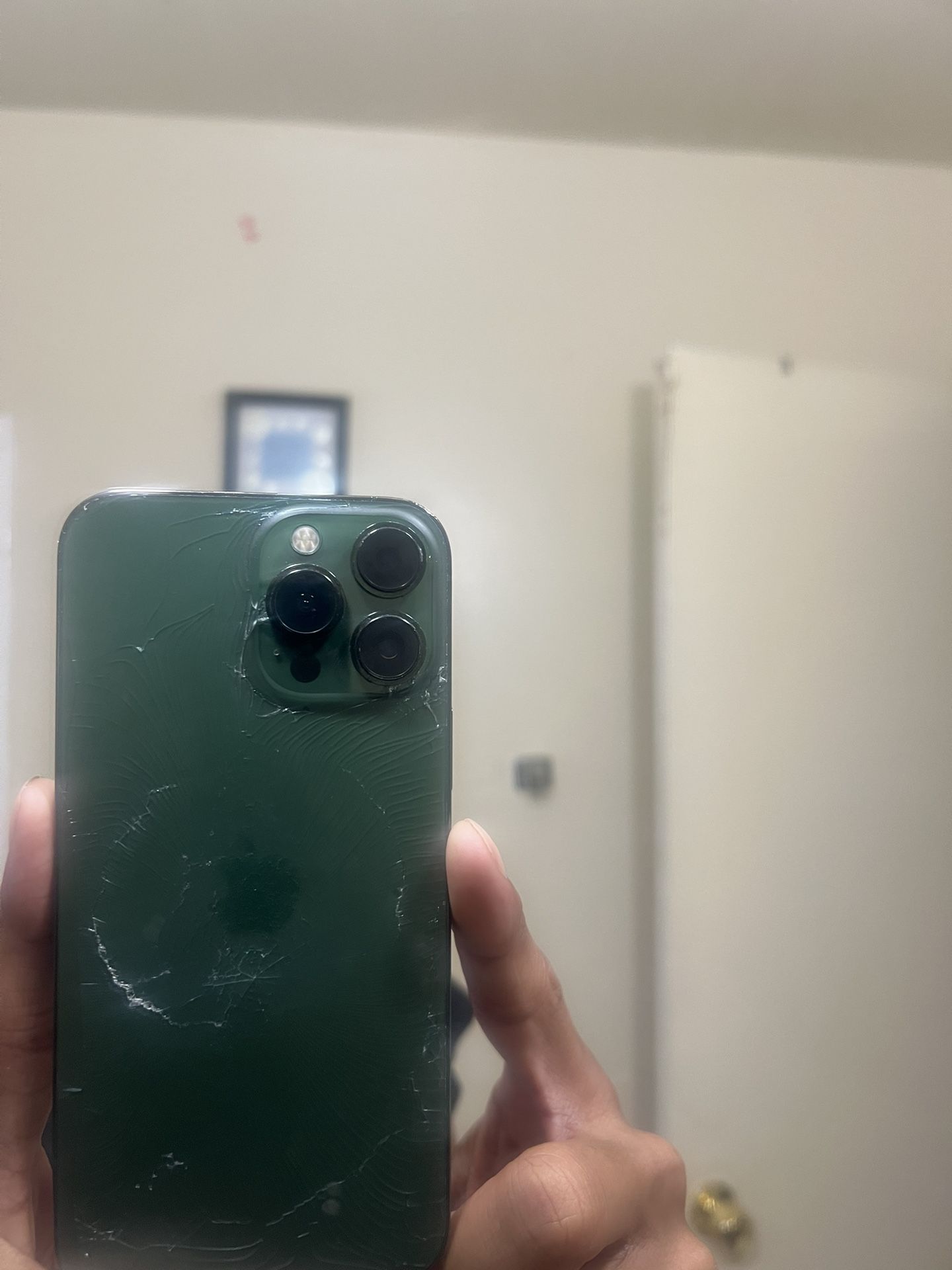 Green iPhone 13 Pro Max.