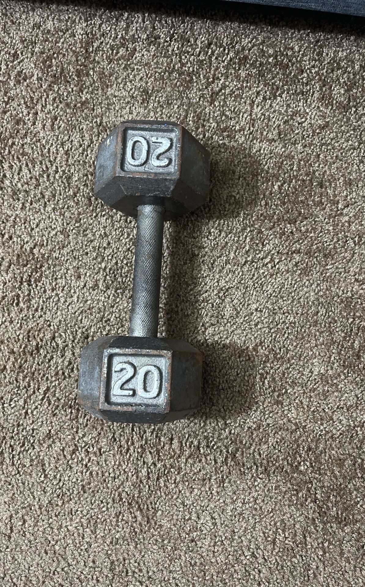20lb Dumbbell