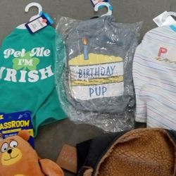 All For You 🐕🐶