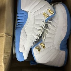 UNC Jordan 12s