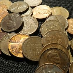 Wheat Penny Lot 19lbs