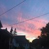Alexis 