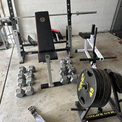 Weight Equipment. Bench Press. Calve Machine