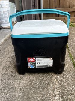 30qt Igloo cooler