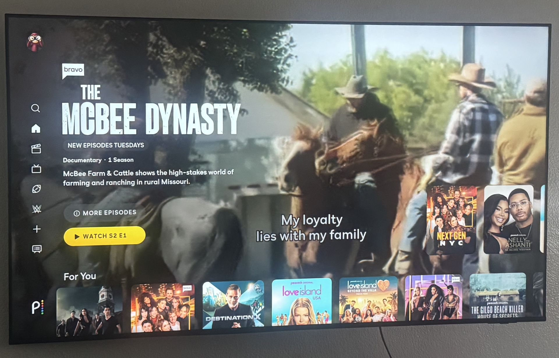 Insignia 55” TV
