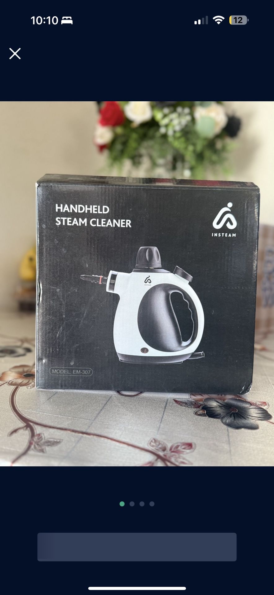 Steam cleaner