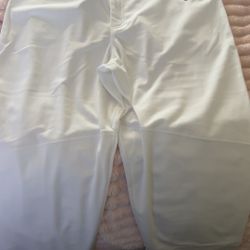 Nike Base Ball Pants New With Tags 