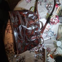 Want To Sell The Bags Together They Are All Coach Sholder Bags Some Very Expensive Would Like To Get 450.00for All OR Best Offer 