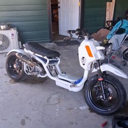 Ice Bear Maddog Scooter