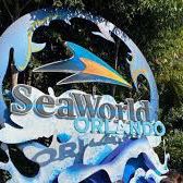 Orlando  Seaworld  1 day pass
