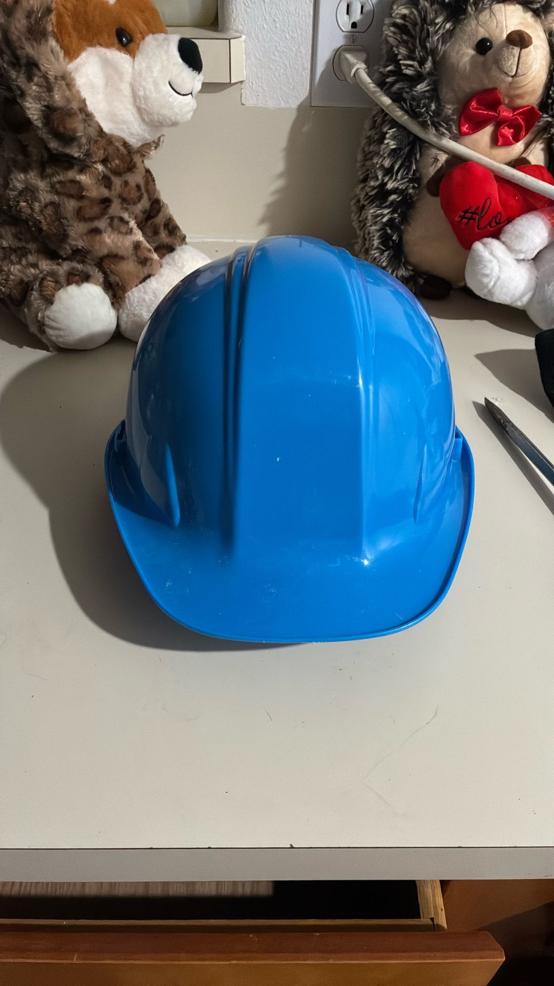 NEW   Hard Hat 