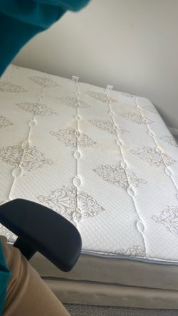 Free - Queen bed and frame