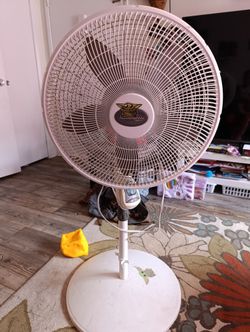 Fan 