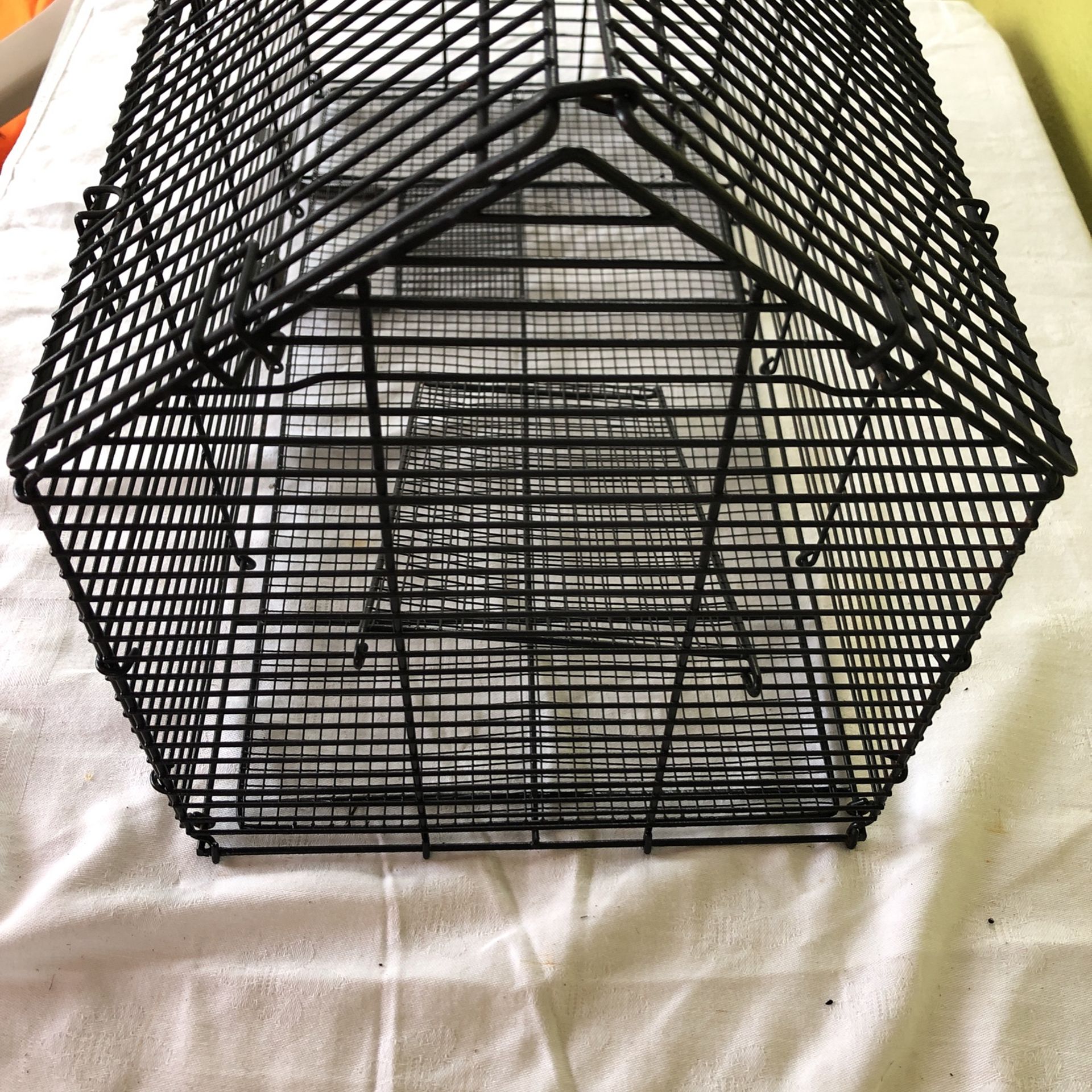 Little Cage. 1/2. Spacing