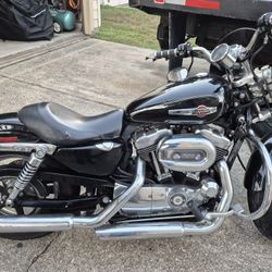 sportster  1200 custom