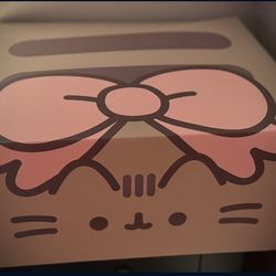 Pusheen Lot Box