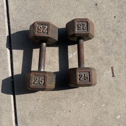 25 Pound Dumbbell’s 