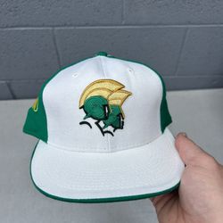 NCAA Norfolk State University Spartans Fitted Hat