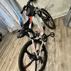 Electric bicycle