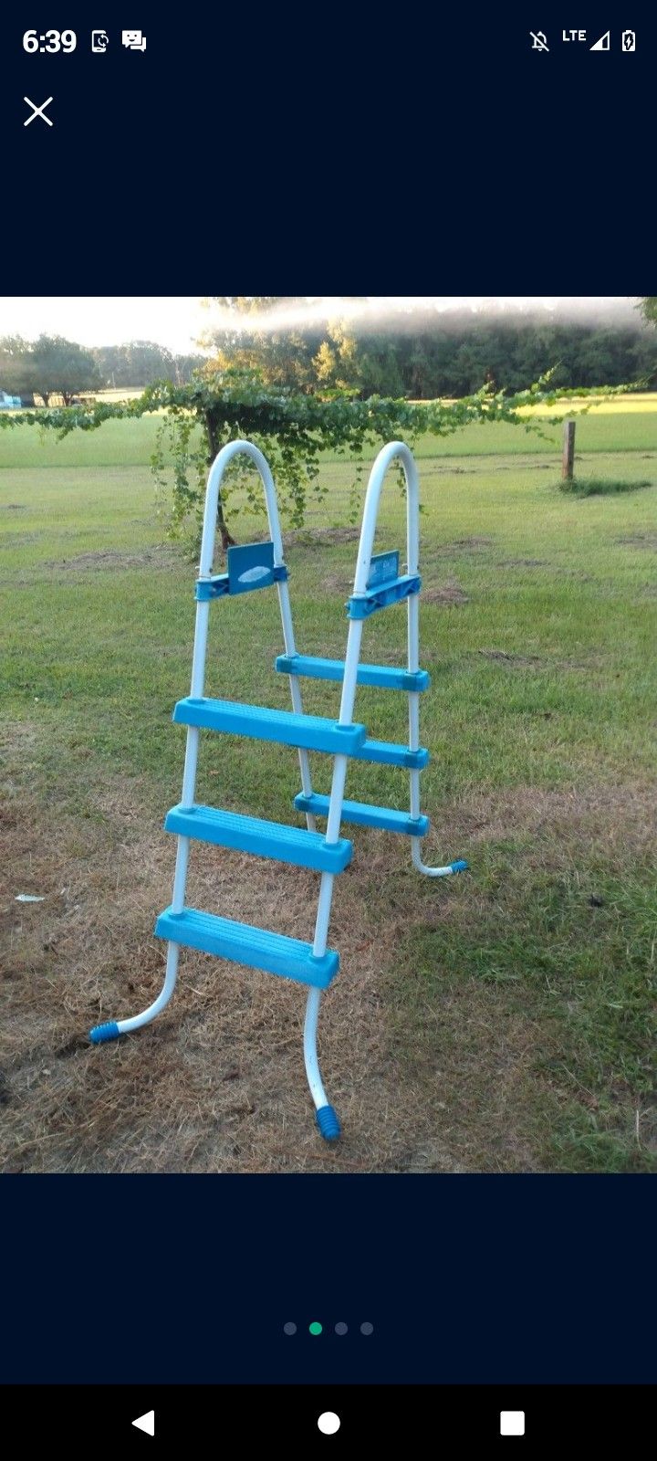 Pool Ladder