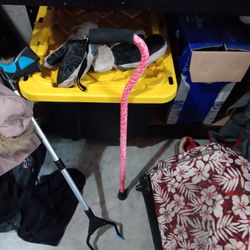 Cane And Grabber