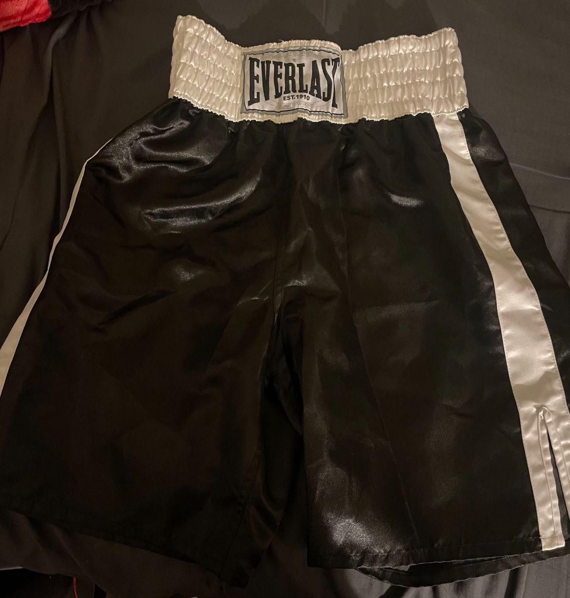 Everlast Boxing Shorts