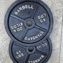 Pair of 45 Lb Olympic Plates 