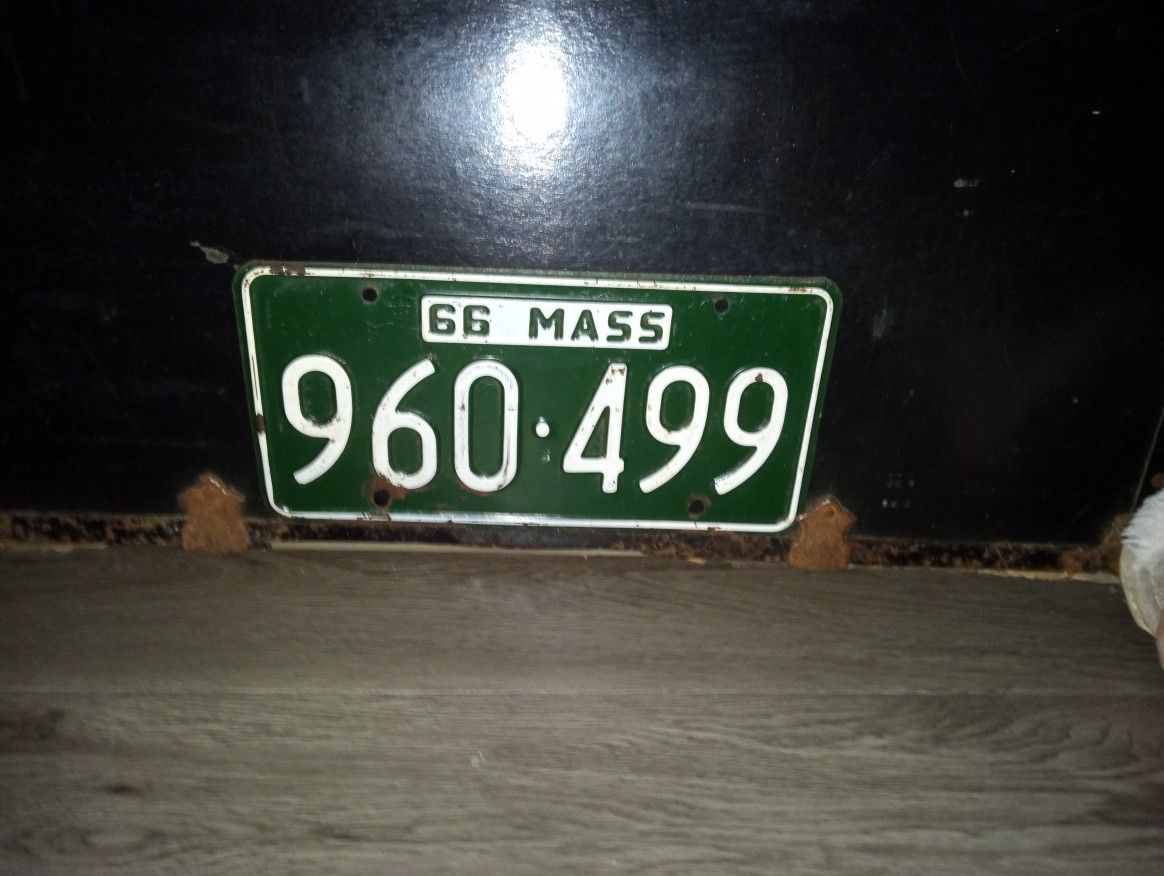 50 Yr Old Porcelain plate.